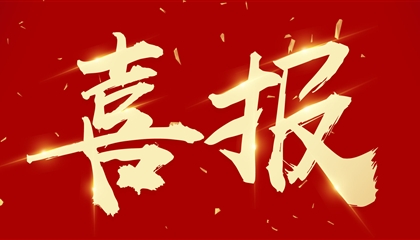 喜訊┃集團(tuán)黨委書(shū)記、董事長(zhǎng)向誠(chéng)榮獲市委表彰