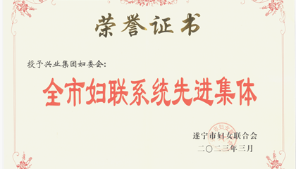 喜報(bào)！興業(yè)集團(tuán)婦委會榮獲“全市婦聯(lián)系統(tǒng)先進(jìn)集體”榮譽(yù)稱號